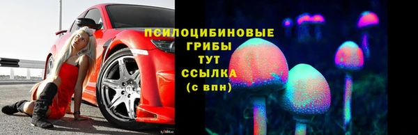 меф Няндома