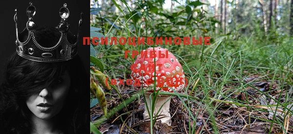 скорость Новозыбков
