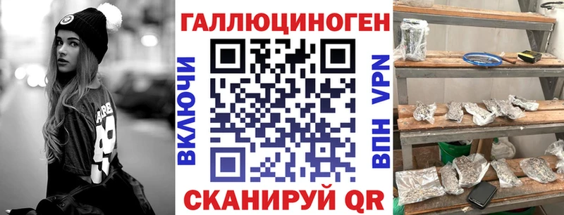 Псилоцибиновые грибы GOLDEN TEACHER  наркотики  Урус-Мартан 