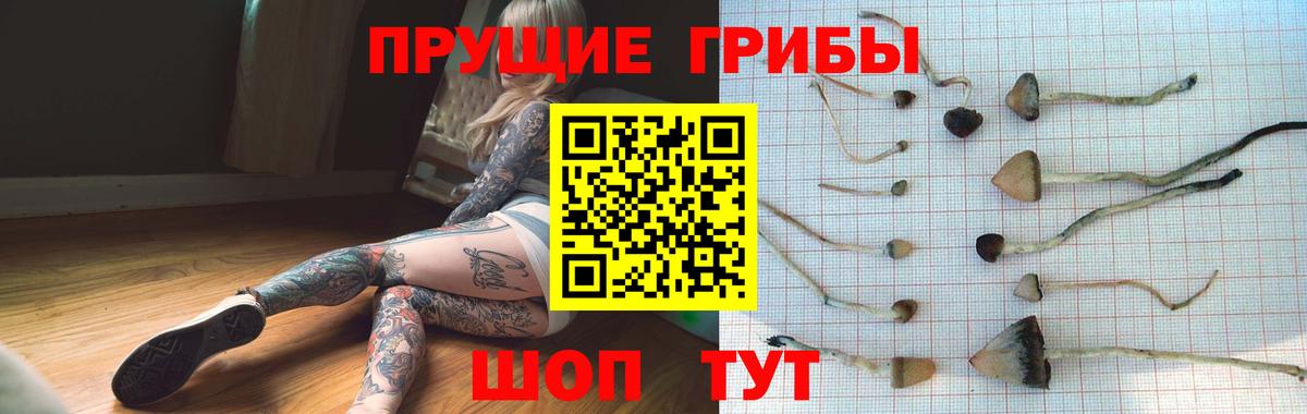 Урус-Мартан  Псилоцибиновые грибы Magic Shrooms  Вход с VPN 